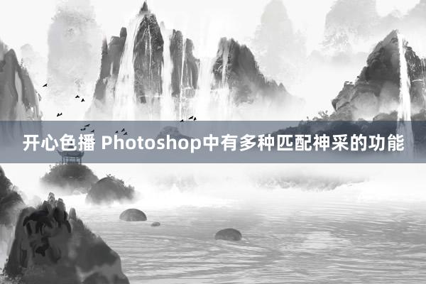 开心色播 Photoshop中有多种匹配神采的功能