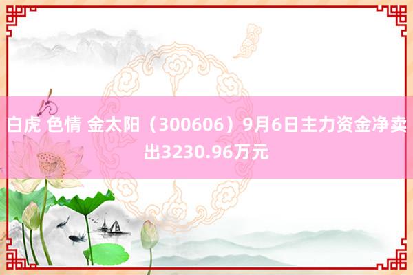 白虎 色情 金太阳（300606）9月6日主力资金净卖出3230.96万元
