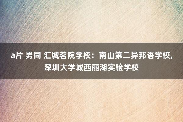 a片 男同 汇城茗院学校：南山第二异邦语学校,深圳大学城西丽湖实验学校