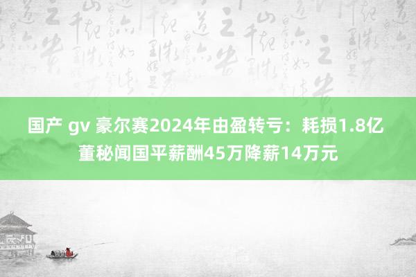 国产 gv 豪尔赛2024年由盈转亏：耗损1.8亿 董秘闻国平薪酬45万降薪14万元