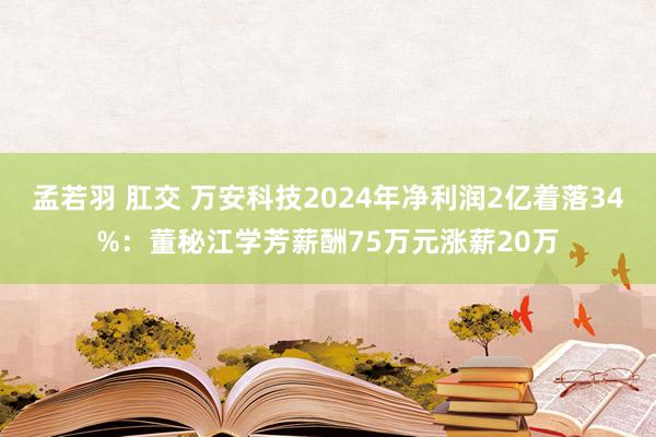 孟若羽 肛交 万安科技2024年净利润2亿着落34%：董秘江学芳薪酬75万元涨薪20万