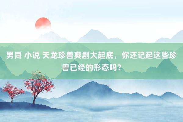 男同 小说 天龙珍兽爽剧大起底，你还记起这些珍兽已经的形态吗？