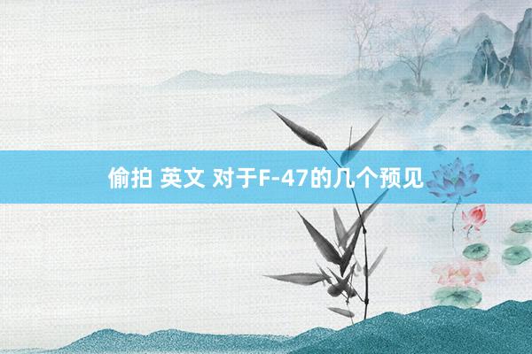 偷拍 英文 对于F-47的几个预见