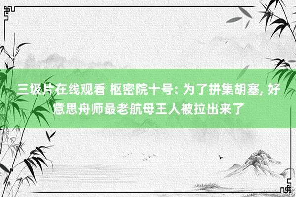 三圾片在线观看 枢密院十号: 为了拼集胡塞, 好意思舟师最老航母王人被拉出来了