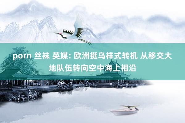 porn 丝袜 英媒: 欧洲挺乌样式转机 从移交大地队伍转向空中海上相沿