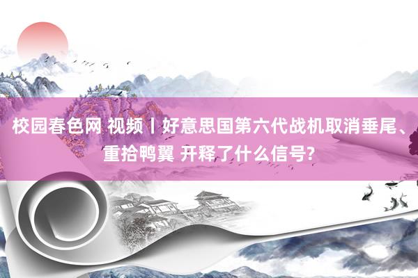 校园春色网 视频丨好意思国第六代战机取消垂尾、重拾鸭翼 开释了什么信号?
