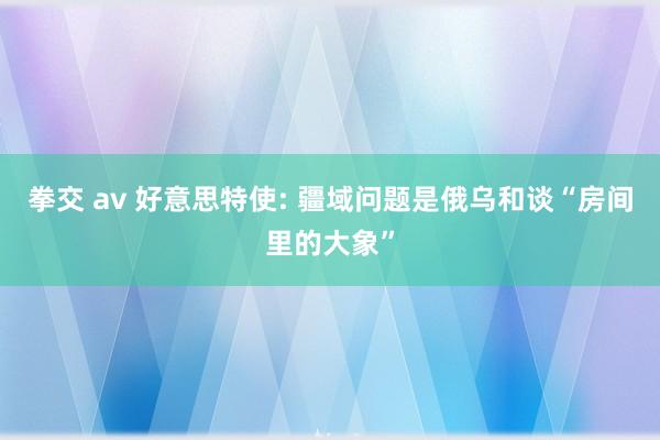 拳交 av 好意思特使: 疆域问题是俄乌和谈“房间里的大象”