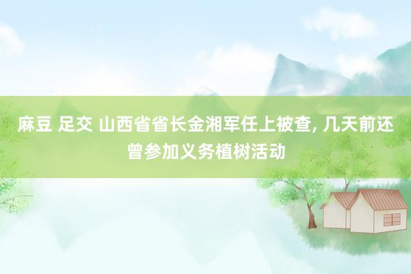 麻豆 足交 山西省省长金湘军任上被查, 几天前还曾参加义务植树活动
