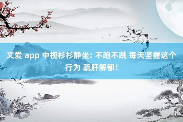 文爱 app 中视杉杉静坐: 不跑不跳 每天坚握这个行为 疏肝解郁！