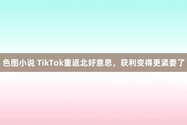 色图小说 TikTok重返北好意思，获利变得更紧要了