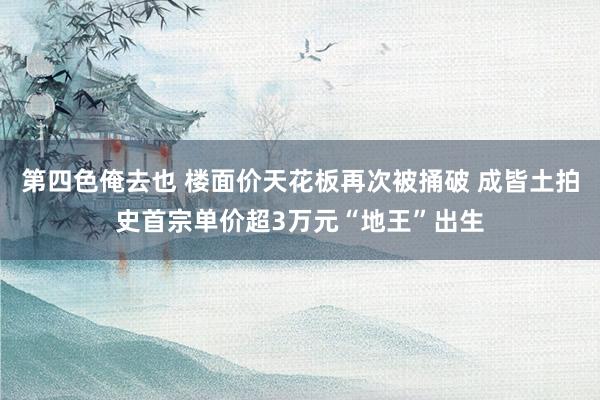 第四色俺去也 楼面价天花板再次被捅破 成皆土拍史首宗单价超3万元“地王”出生